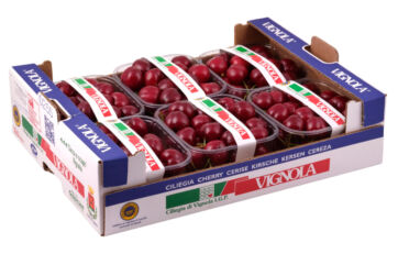 Confezione di Ciliegia di Vignola Igp in vaschette di plastica all'interno di una cassetta di cartone brandizzata.