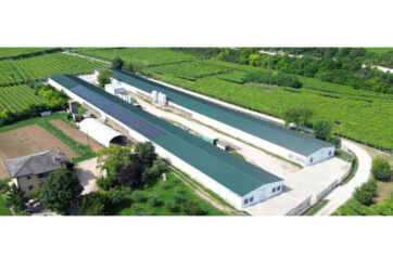 Impianto fotovoltaico sui tetti della Cooperativa Agricola San Martino immersa nei vigneti per la transizione energetica.