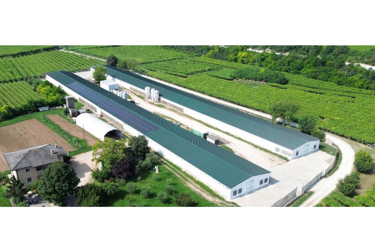 Impianto fotovoltaico sui tetti della Cooperativa Agricola San Martino immersa nei vigneti per la transizione energetica.