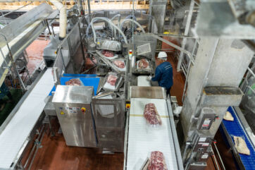 Linea di confezionamento rotativa Cryovac per carne fresca su nastro trasportatore industriale in stabilimento alimentare - Cryovac
