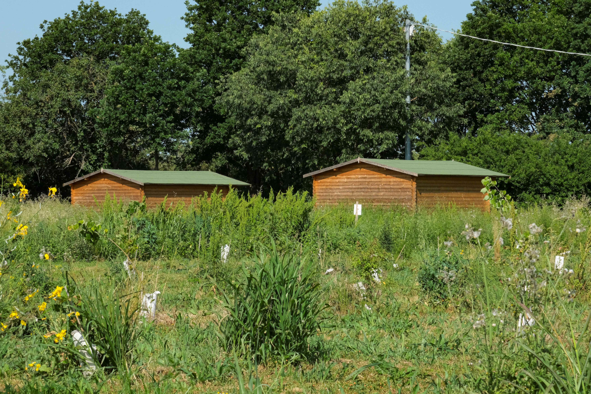 Due casette in legno immerse nel verde dell'oasi WWF di Montechiarugolo, progetto di sostenibilità ambientale Mutti.