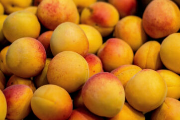 Primo piano di albicocche fresche, frutta estiva di stagione per il mercato ortofrutticolo italiano. - ortofrutta