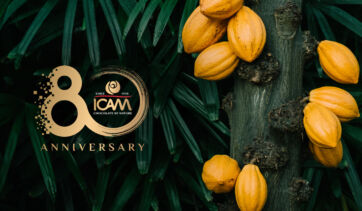 Logo celebrativo 80 anni ICAM con cacao d'origine su pianta tropicale per le novità Vanini e il cioccolato di qualità.