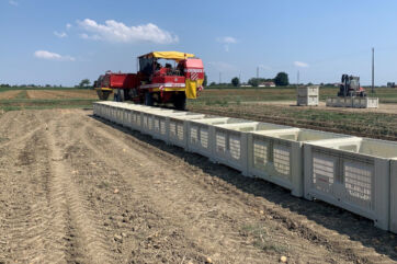 Raccolta meccanizzata di patate in campo con macchinario F.lli Romagnoli e casse di plastica vuote per il raccolto.
