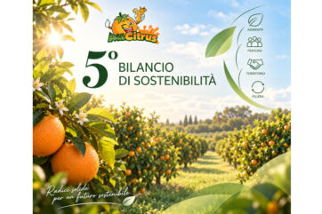 All Citrus presenta il 5° Bilancio di Sostenibilità 2025: agrumeto, arance e icone Ambiente, Persone, Territorio, Filiera.