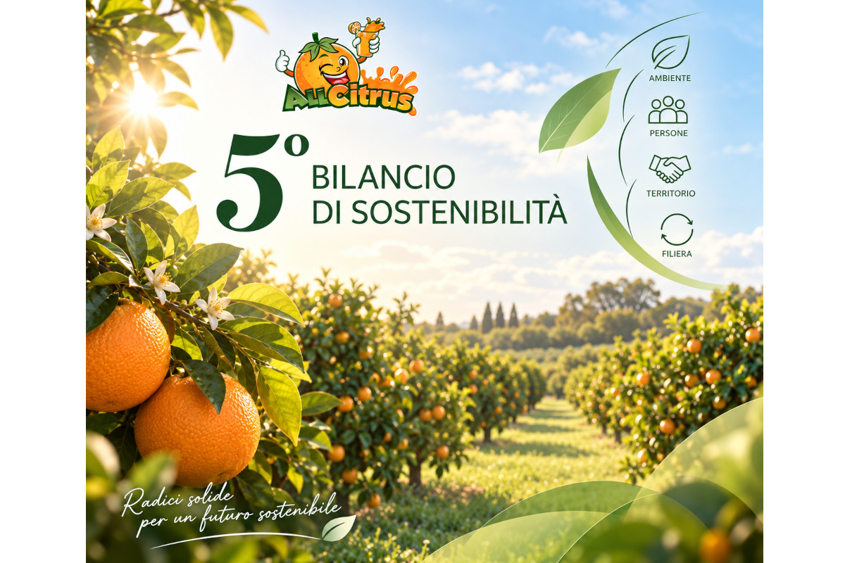 All Citrus presenta il 5° Bilancio di Sostenibilità 2025: agrumeto, arance e icone Ambiente, Persone, Territorio, Filiera.