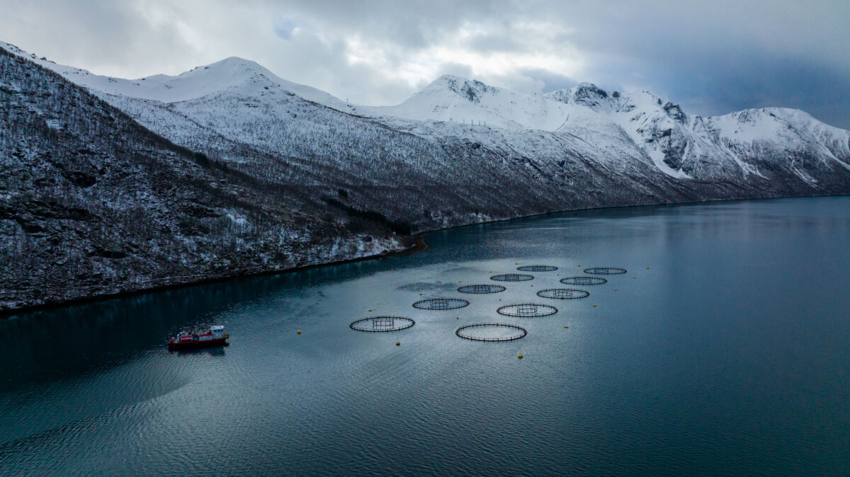 Impianto di acquacoltura per salmone norvegese in un fiordo con montagne innevate e nave.
