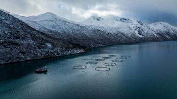 Impianto di acquacoltura per salmone norvegese in un fiordo con montagne innevate e nave.