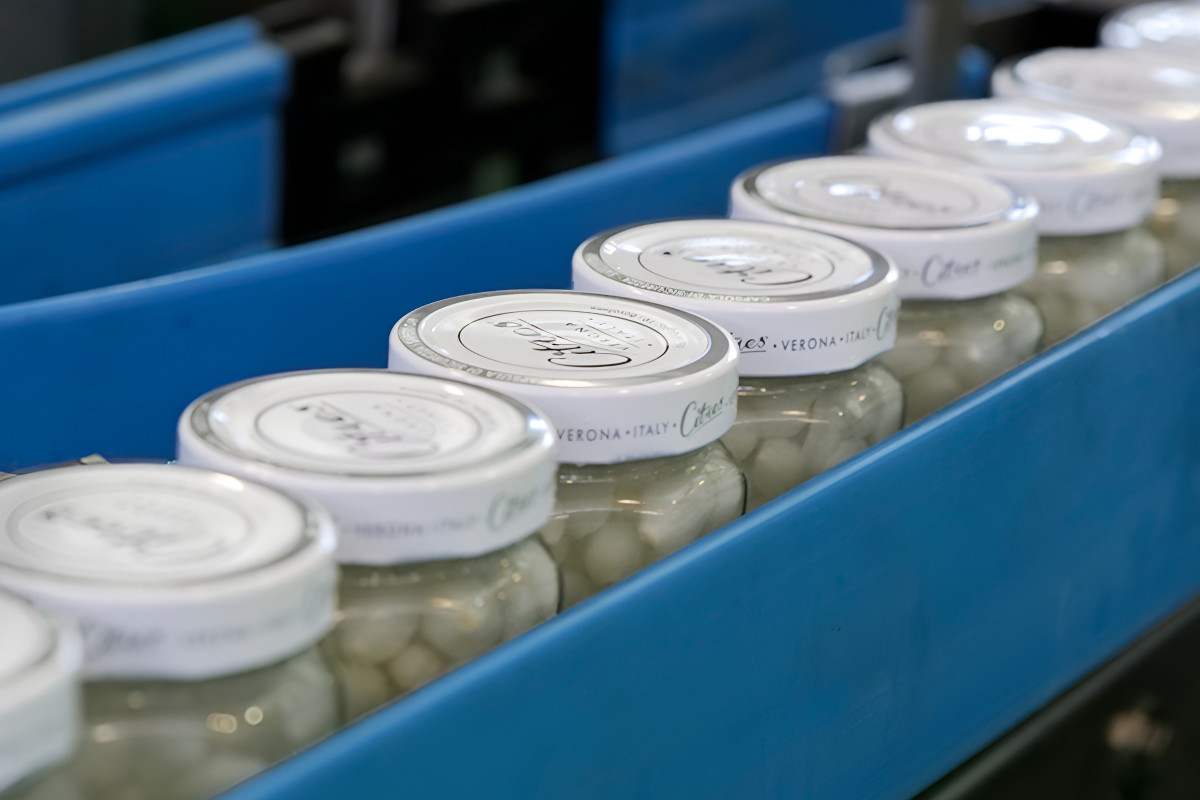 Vasi di cipolline Citres su nastro trasportatore industriale, acquisizione Clessidra Green Harvest