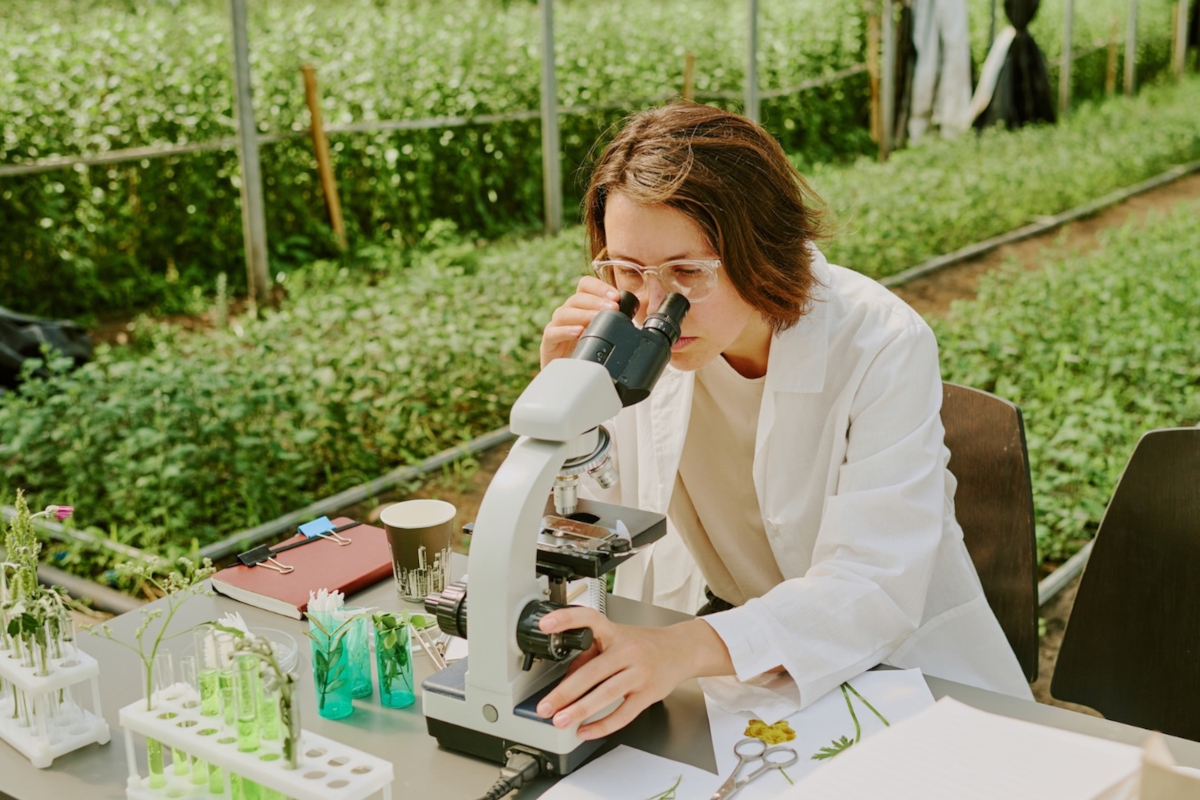 Ricercatrice al microscopio in serra per startup agrifoodtech di FoodSeed 2026 selezionate da CDP
