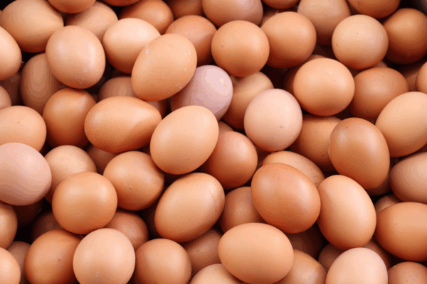 Uova fresche di gallina in guscio, simbolo della filiera avicola italiana da 3,7 miliardi di euro