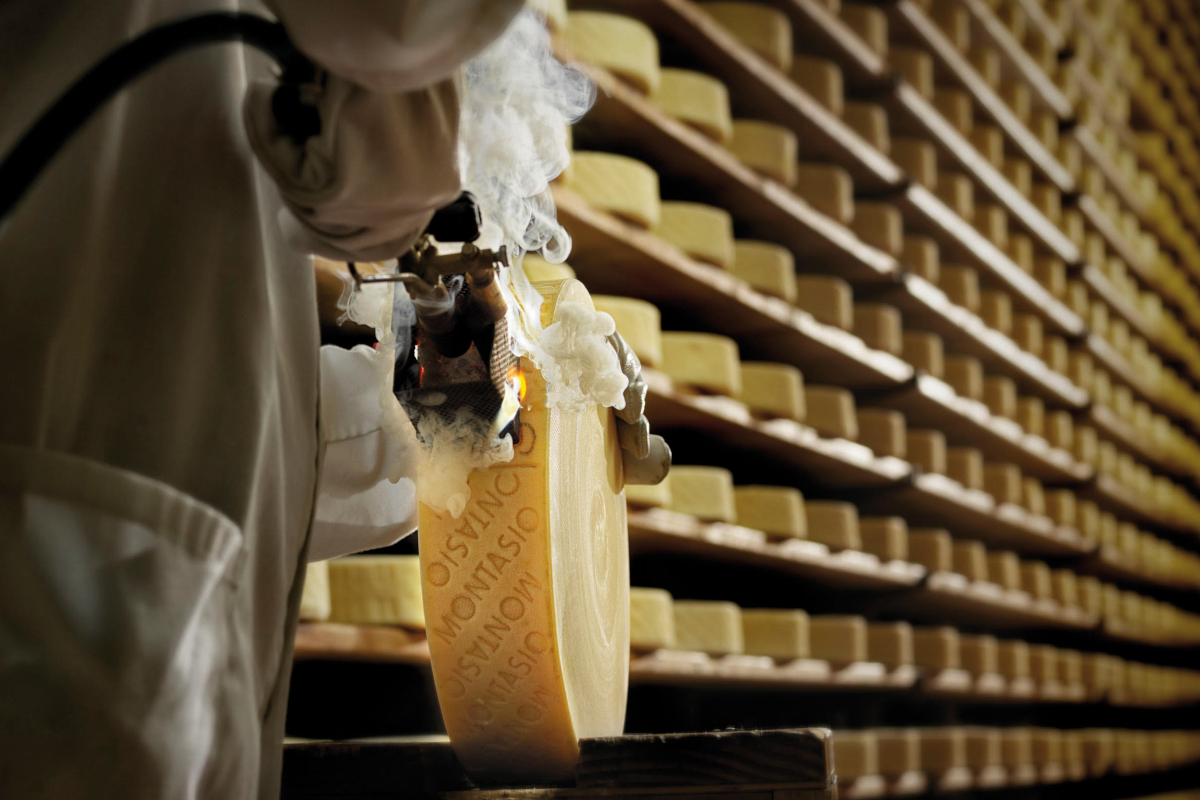 Montasio PDO Cheese Sees Rising Success