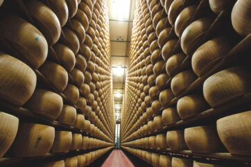 Parmigiano Reggiano: exports outpace domestic sales