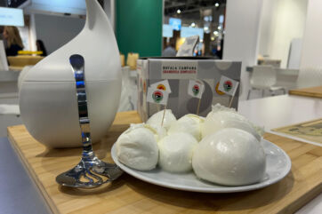 buffalo mozzarella