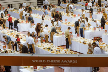 World Cheese Awards 2025 event. Judges evaluate cheeses on tables. Italy ranks third in cheese competition.