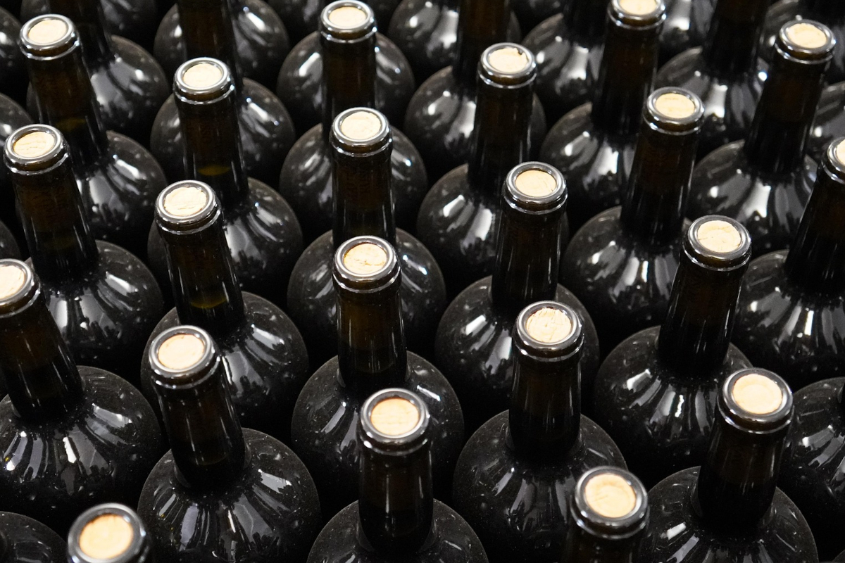 Germany-Rows of sealed wine bottles. Bottled wine, wine production.