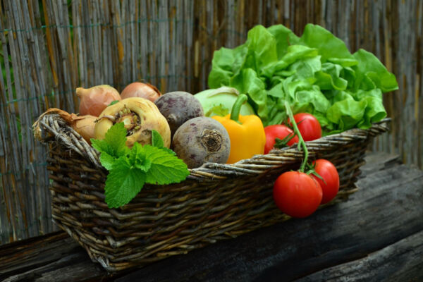 fruit and vegetable-Fresh Italian vegetables in a basket. Includes tomatoes, lettuce, onions, peppers, and beets.