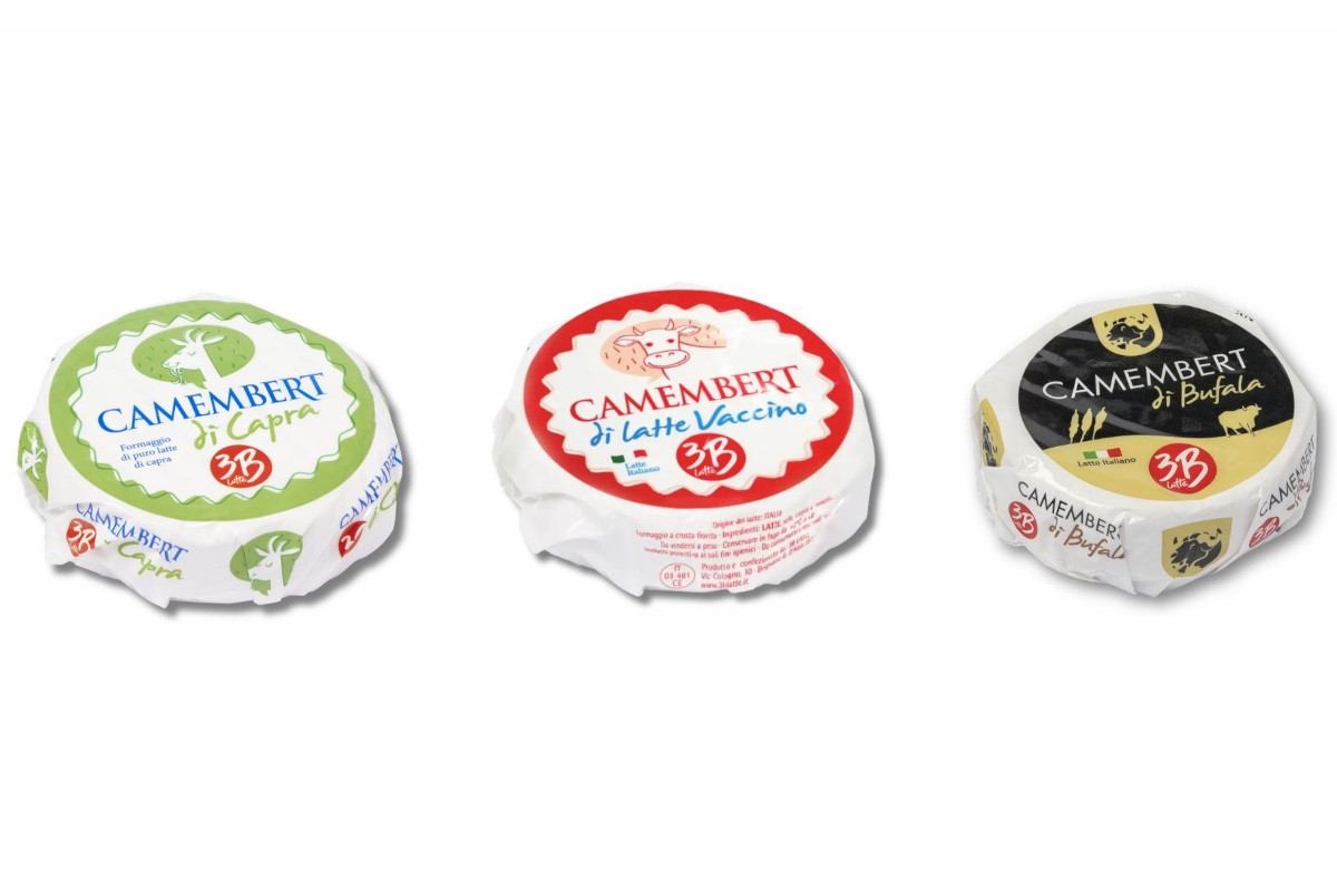 Three wrapped Camembert cheeses: goat, cow, and buffalo milk. Italian cheese product.