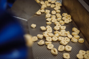 Tortelloni pasta on a conveyor belt, ready for pasteurization at Raviolificio Scoiattolo. Fresh Italian pasta.