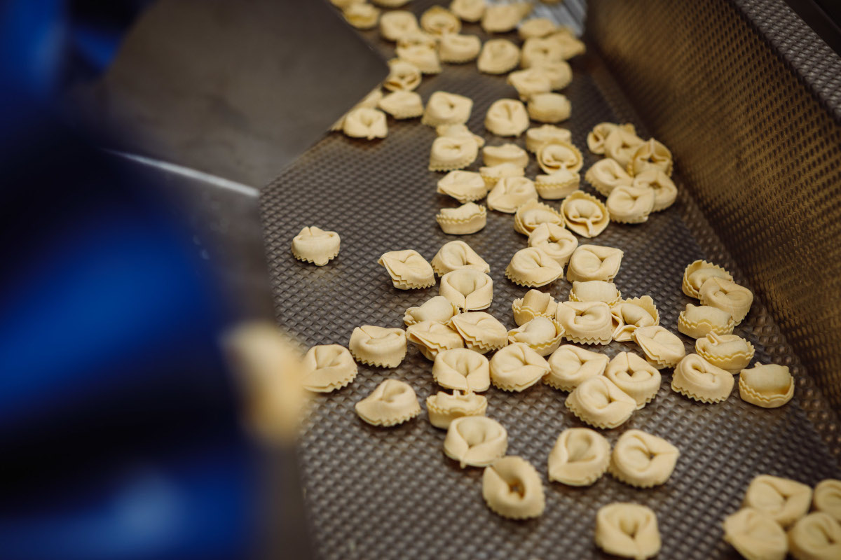 Tortelloni pasta on a conveyor belt, ready for pasteurization at Raviolificio Scoiattolo. Fresh Italian pasta.