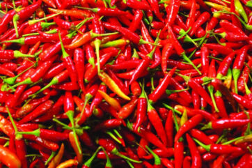 Fresh Peperoncino di Calabria PGI red chili peppers piled together, highlighting the vibrant color of Italian specialties.