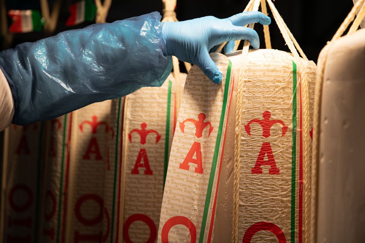 Gloved hand inspecting traditional Provolone Auricchio cheese hanging in a cellar for the aging process.