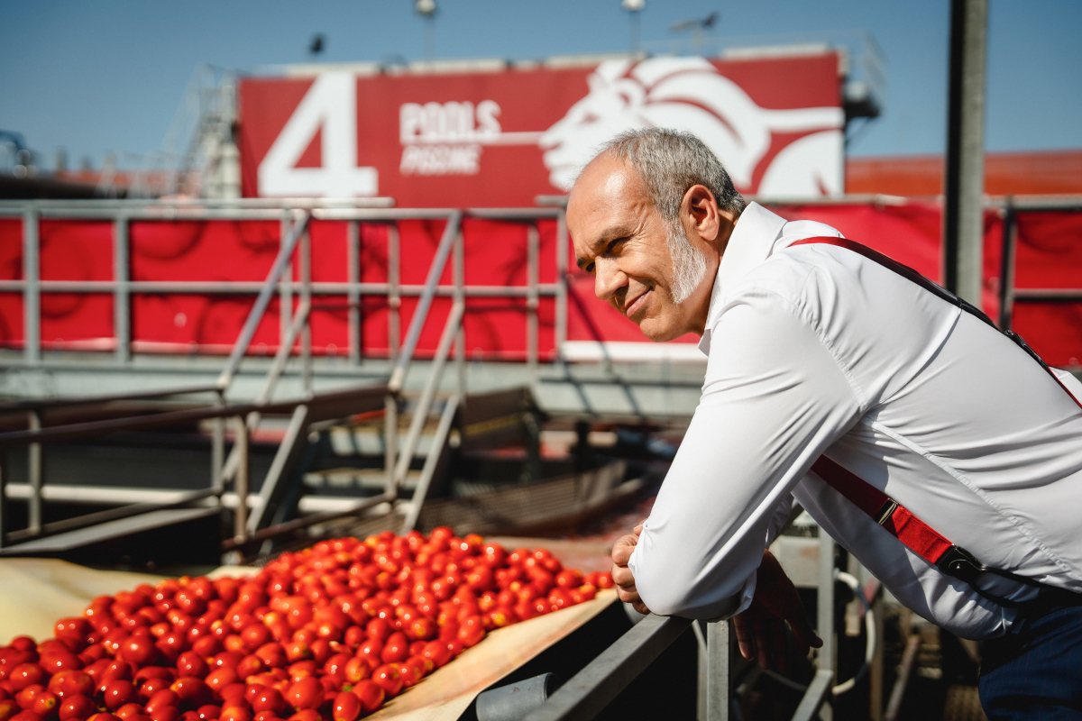 Francesco Mutti inspects fresh red tomatoes during the 2026 Mutti tomato campaign amid climate challenges.