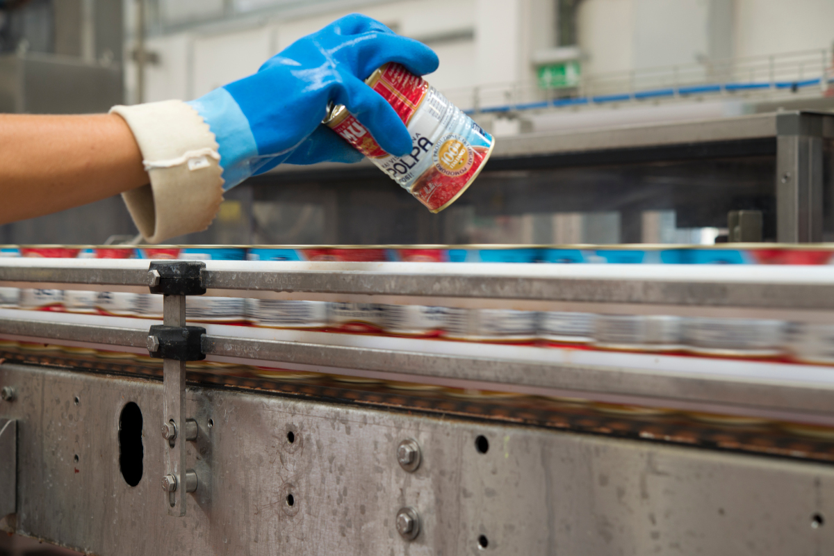 Gloved worker inspecting Mutti tomato can on conveyor at processing plant during 2026 campaign