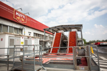 Mutti Parma plant tomato processing line with fresh red tomatoes on conveyors during 2026 tomato campaign.
