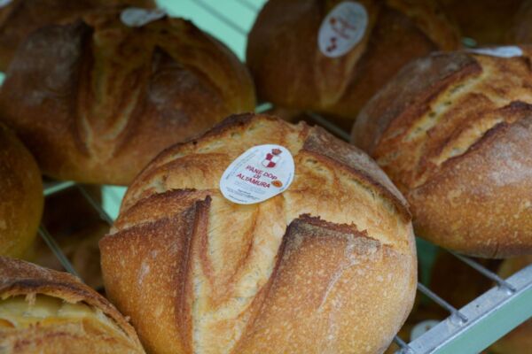 Pane di Altamura Oropan
