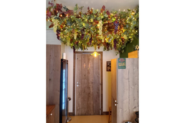 Allestimento indoor con vite e luci. Decorazioni con uva e foglie. Design d'interni a tema vino.