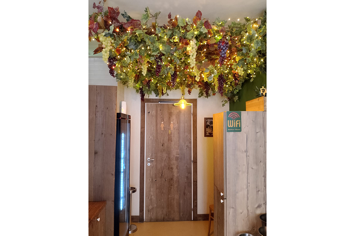 Allestimento indoor con vite e luci. Decorazioni con uva e foglie. Design d'interni a tema vino.