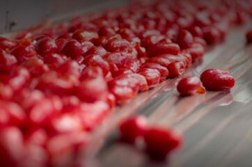 Produzione pomodori rossi. Fondo Agrifood Mezzogiorno per imprese agricole del Sud Italia.