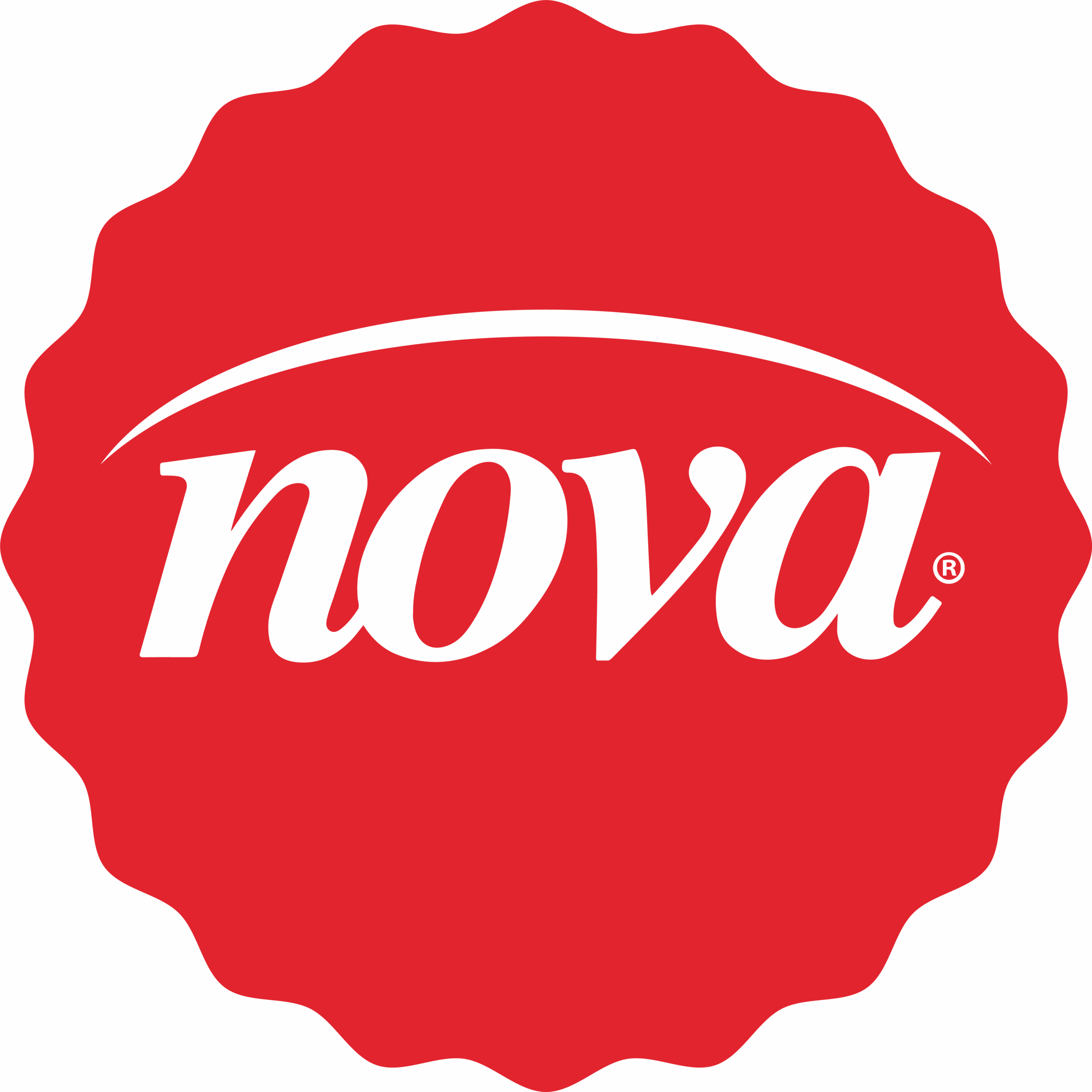 Logo NOVA Funghi