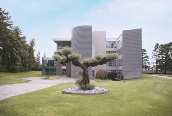 Sede del Disaronno Group: edificio moderno con design architettonico contemporaneo immerso in un parco con ulivo secolare.