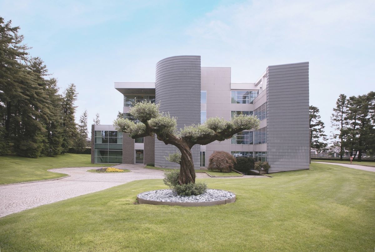 Sede del Disaronno Group: edificio moderno con design architettonico contemporaneo immerso in un parco con ulivo secolare.