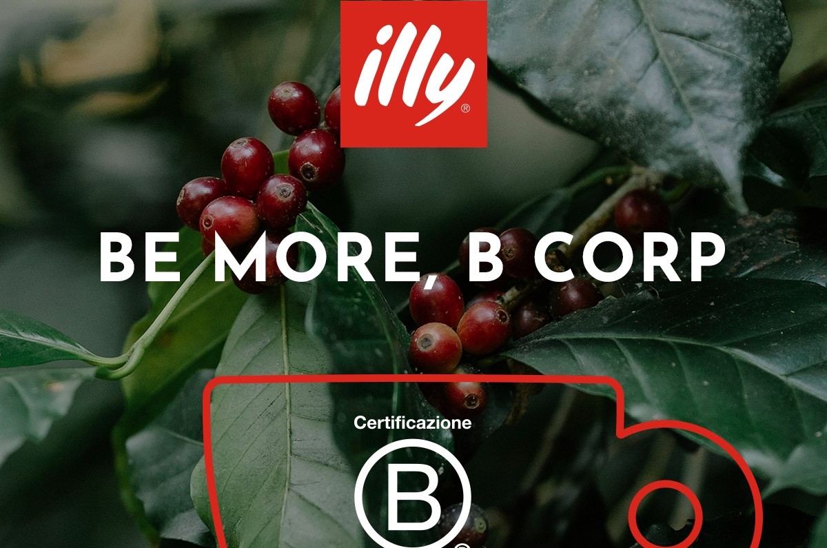 Pianta di caffè con ciliegie rosse e logo illy: certificazione B Corp™ secondo i nuovi standard V2