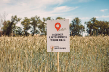 Campo di grano Molino Paolo Mariani. Cartello Da qui inizia il nostro percorso verso la qualità. 360 Grani, arte bianca.