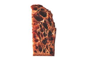 Sezione di panettone al cioccolato artigianale di Roy Shvartzapel, alveolatura marcata.
