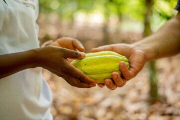 Cacao etico con Trusty: nuovi progetti in Costa d’Avorio