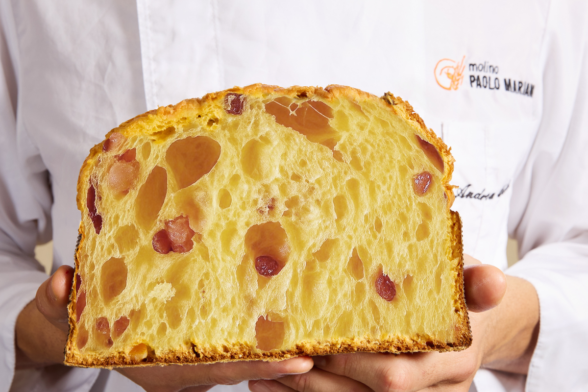 Panettone 100% Italiano: Molino Paolo Mariani lancia la prima edizione limitata