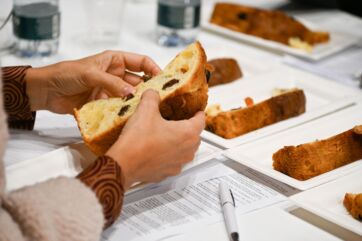 Degustazione panettone artigianale. Mani che aprono fetta di panettone tradizionale al Mondiale del Panettone.