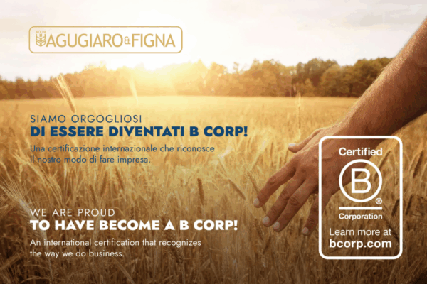 Mano che accarezza un campo di grano: Agugiaro & Figna celebra la certificazione B Corp, prima realtà molitoria in Europa.