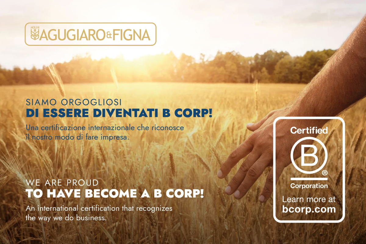 Mano che accarezza un campo di grano: Agugiaro & Figna celebra la certificazione B Corp, prima realtà molitoria in Europa.