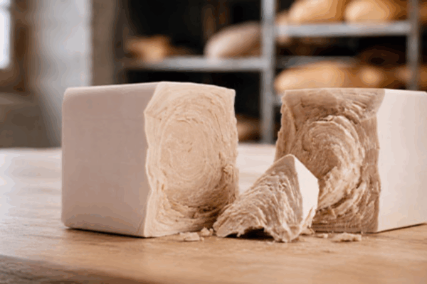 Blocchi di lievito fresco per panificazione su un piano di lavoro in un laboratorio di panetteria professionale.