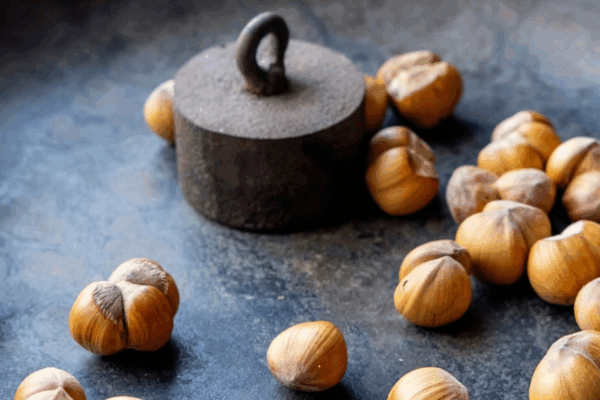 Nocciole IGP Agrimontana e Cascina Baronina: nocciole intere con guscio disposte accanto a un antico peso in ferro.