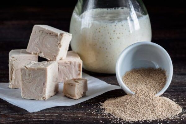 Panetti di lievito di birra fresco Cofalec accanto a una ciotola con lievito secco e una brocca di impasto liquido.