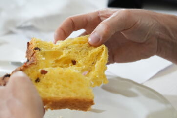 Mani spezzano panettone tradizionale: degustazione lievitato natalizio 2026, produzione in aumento e prezzi stabili.