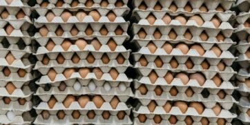 Uova fresche in cartoni impilati, simbolo della filiera italiana da 3,7 miliardi di euro