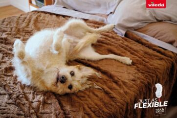 Cane flessibile Vileda Pets sul letto. Pulizia facile dei peli di animali domestici.